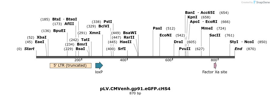 37655_map