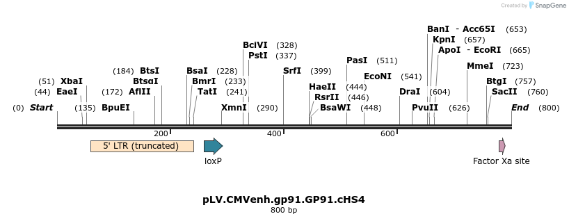 37656_map
