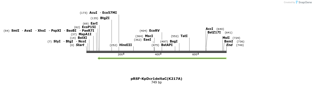 37662_map