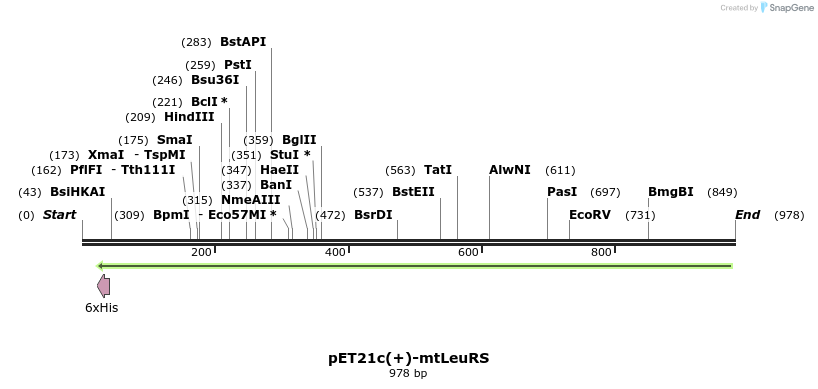 37663_map