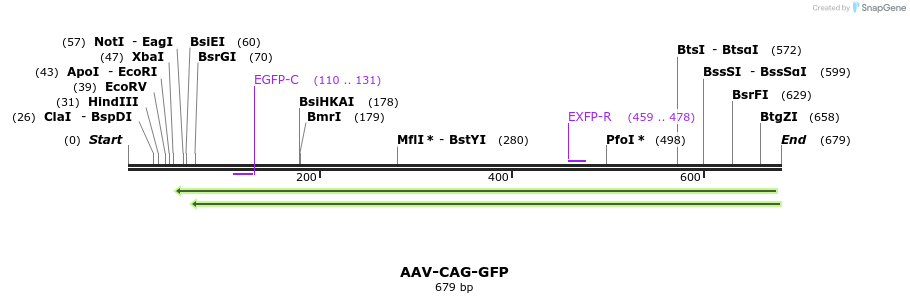 37667_map