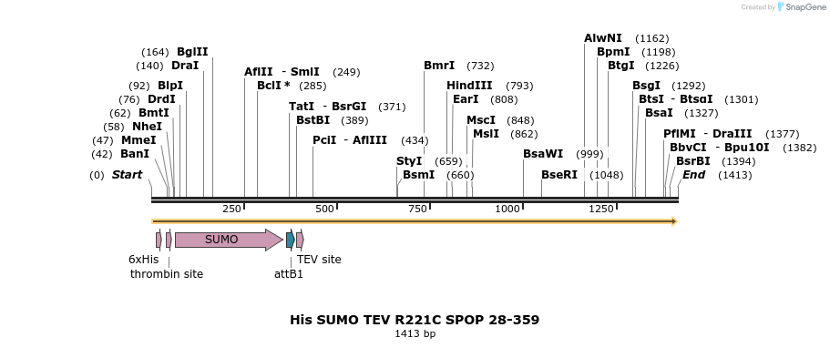 376684_map
