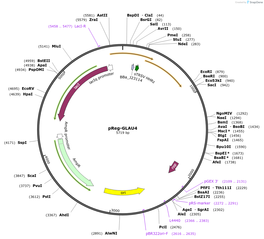 376771_map