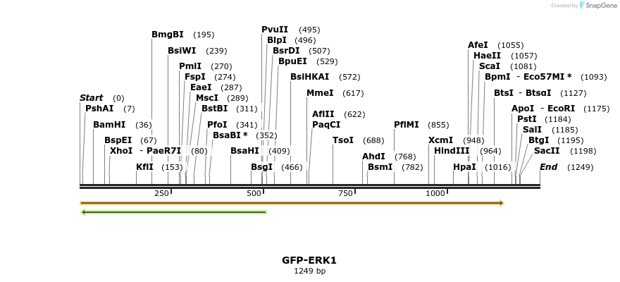 37679_map