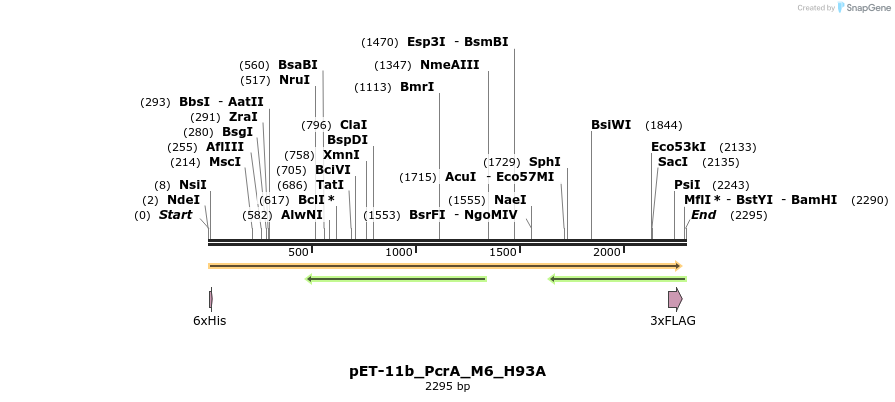376791_map