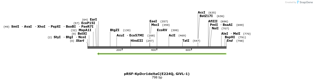 37681_map