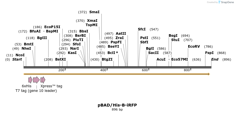 37685_map