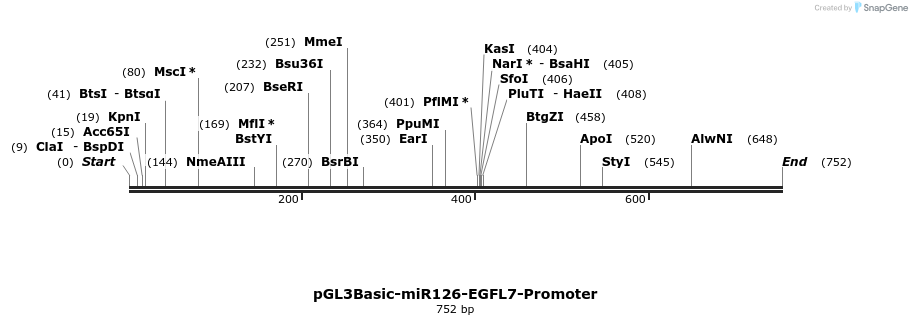37686_map