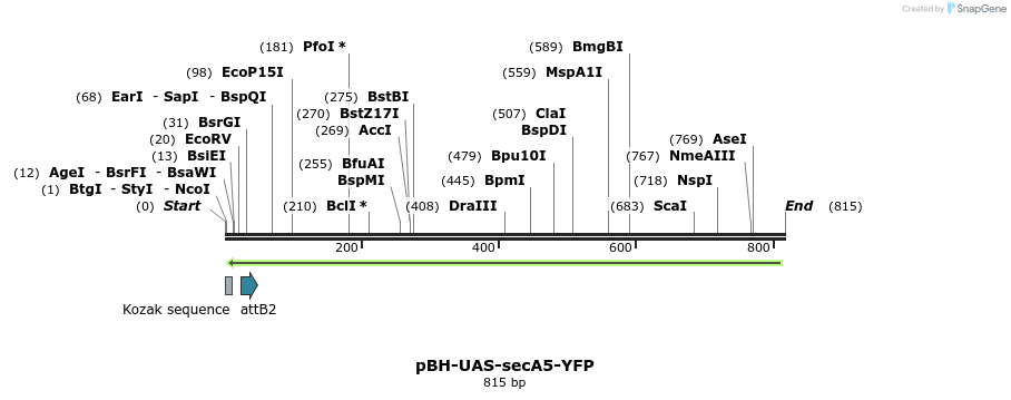 37687_map