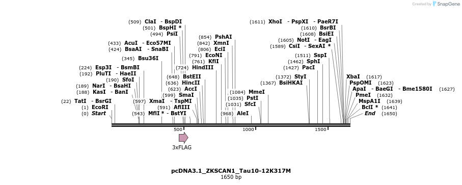 376877_map
