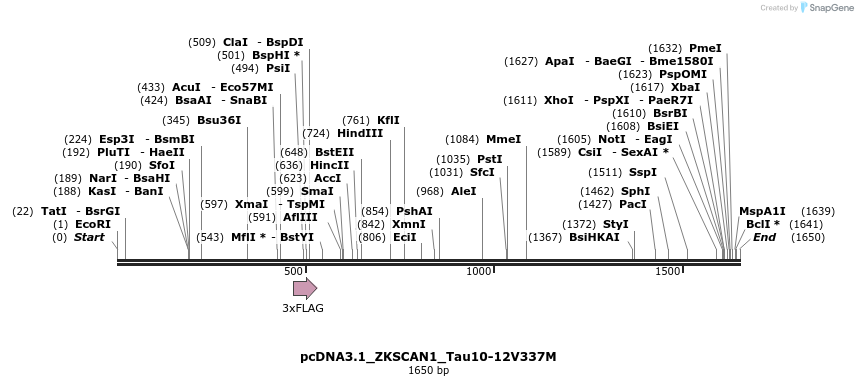376879_map