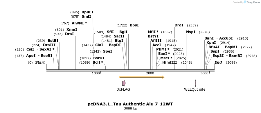 376897_map