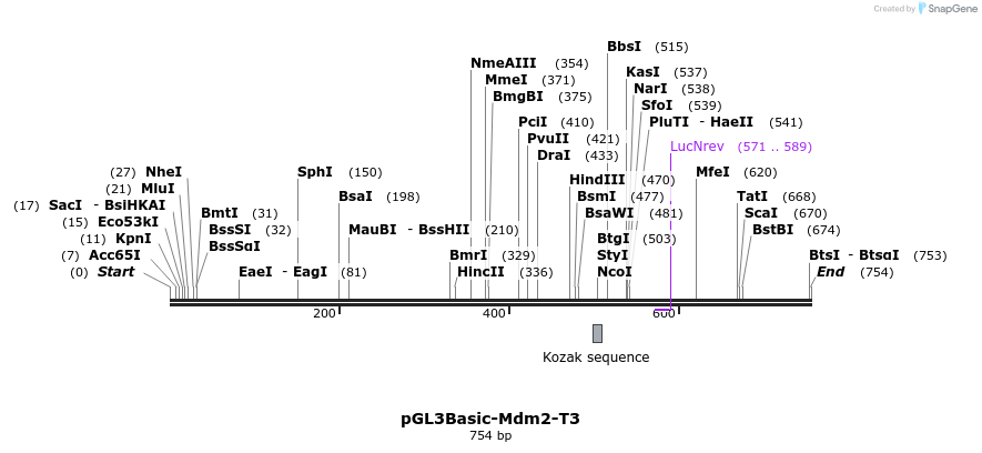 37694_map