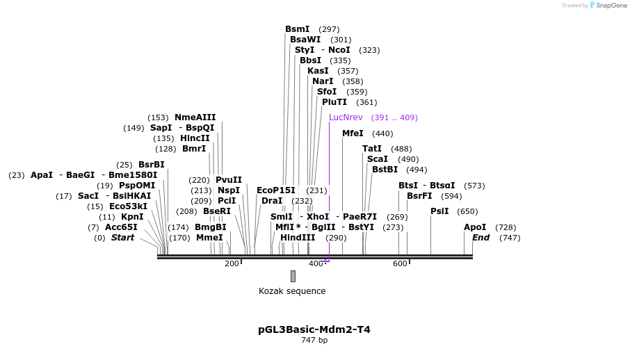 37695_map