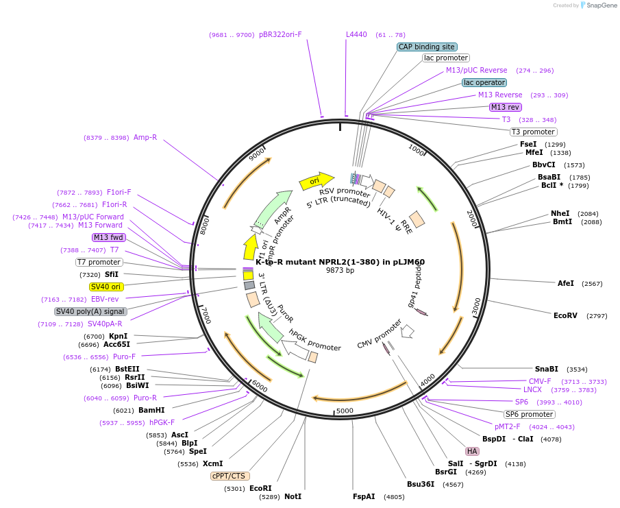 376960_map