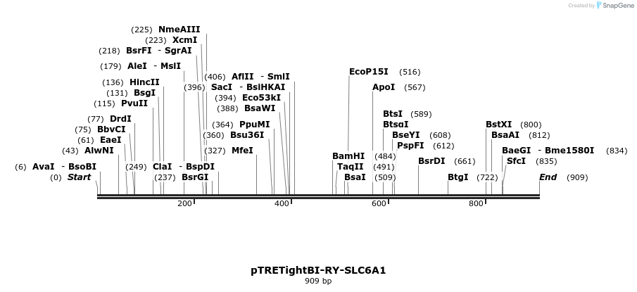 37700_map