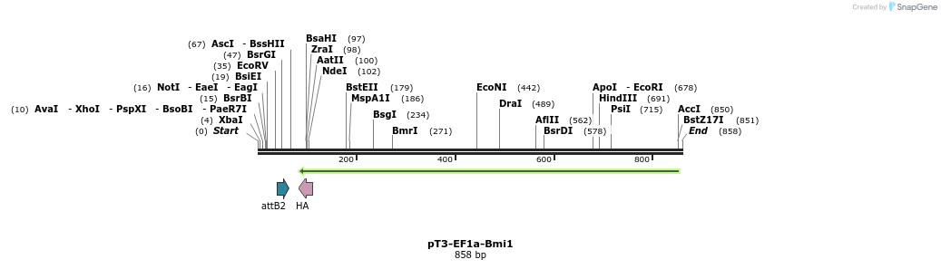 37702_map