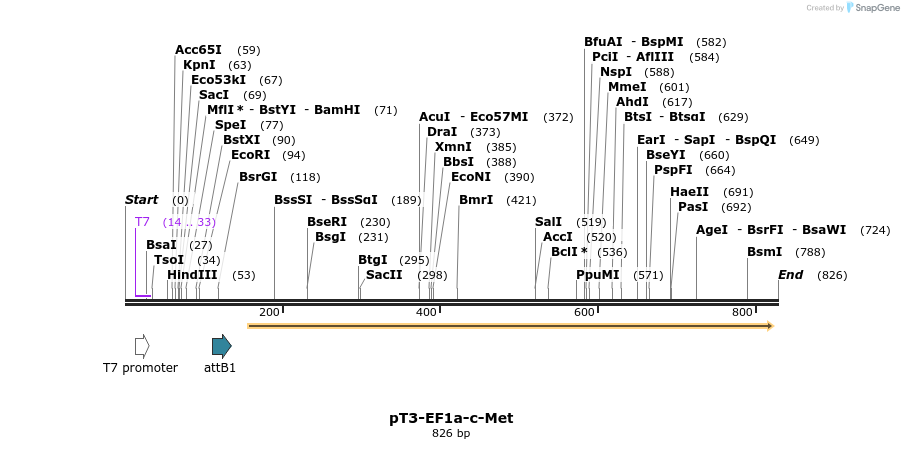 37703_map