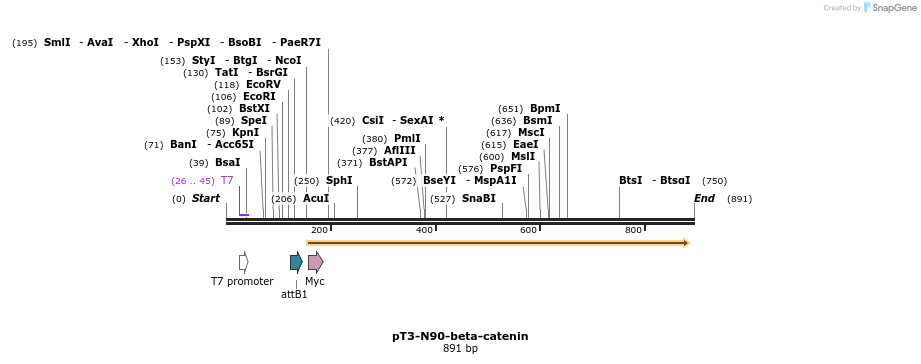 37704_map