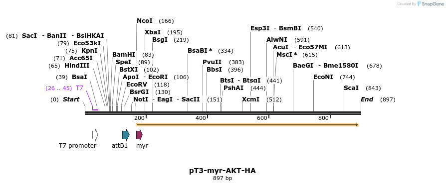37705_map