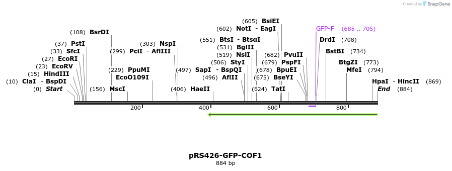 37708_map