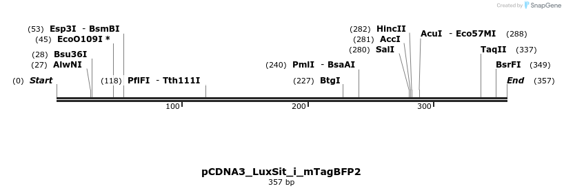 377092_map