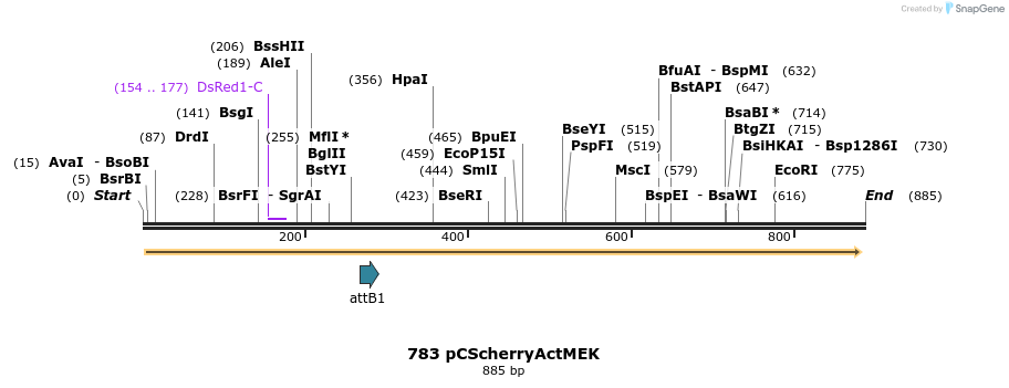 37710_map