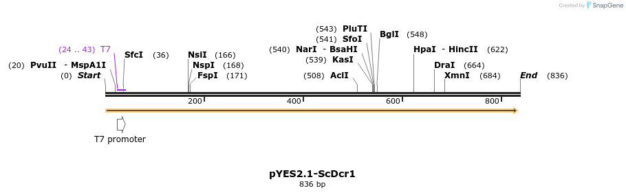 37711_map