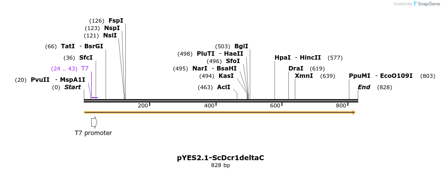 37712_map