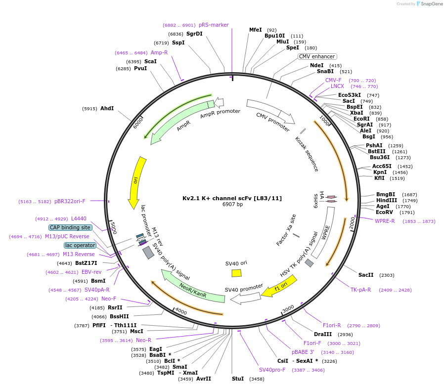 377120_map