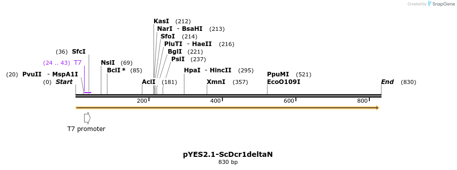 37714_map