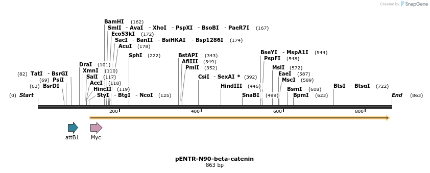 37716_map