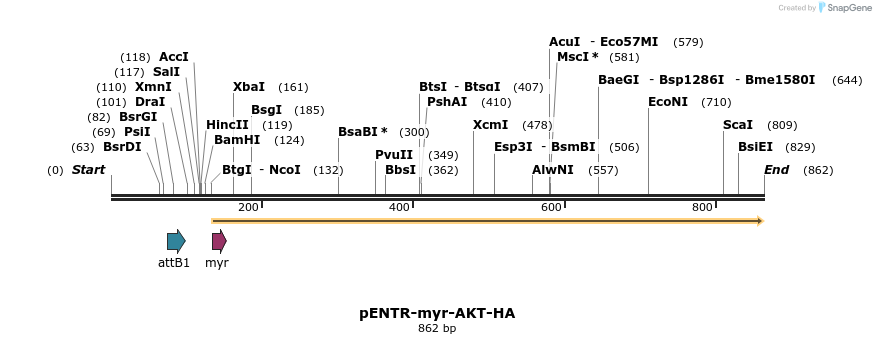 37718_map