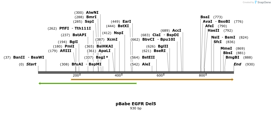 37721_map