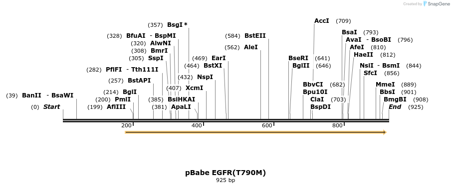 37722_map