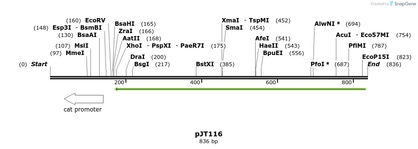 37723_map