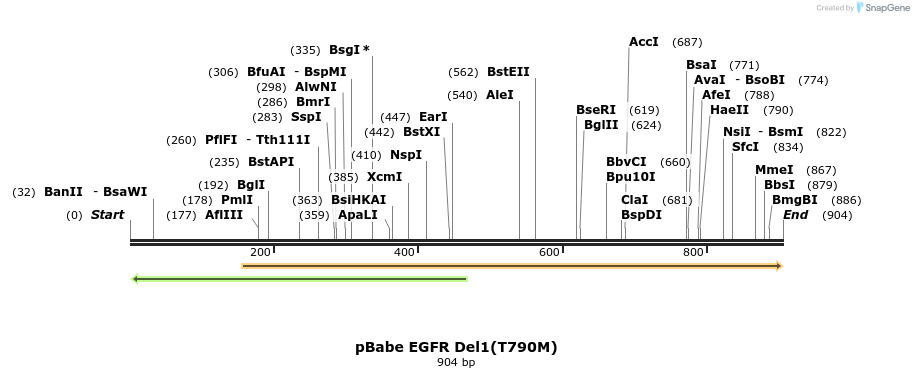 37725_map