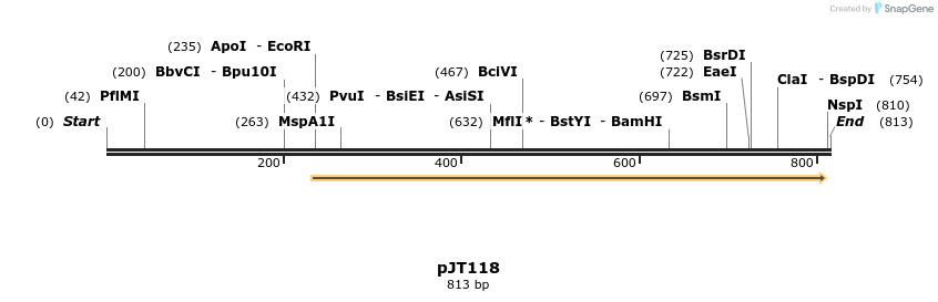 37726_map