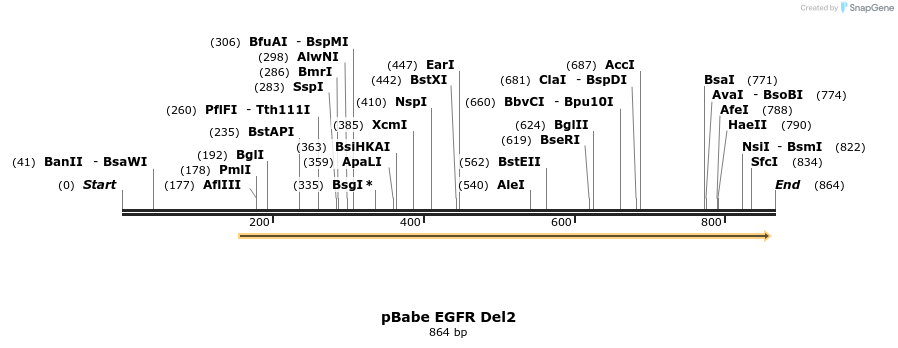 37728_map