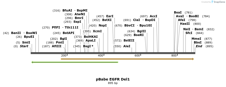37731_map