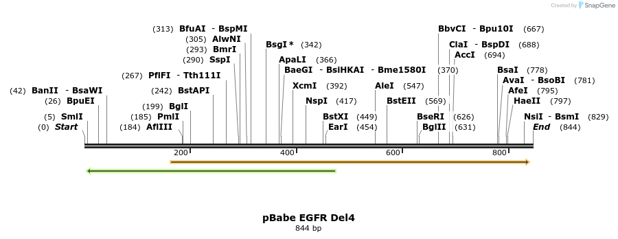 37732_map