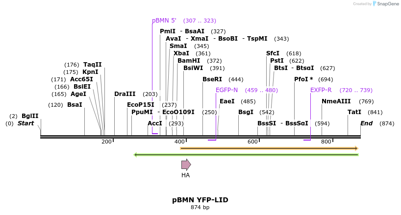 37734_map