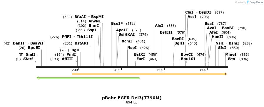 37736_map