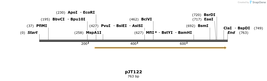 37737_map