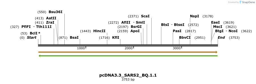 377404_map