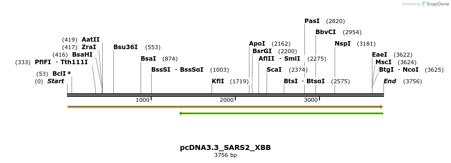 377405_map