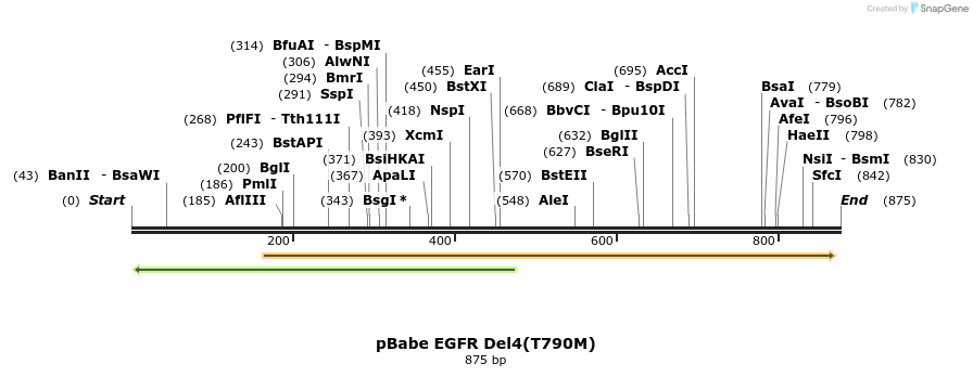 37741_map