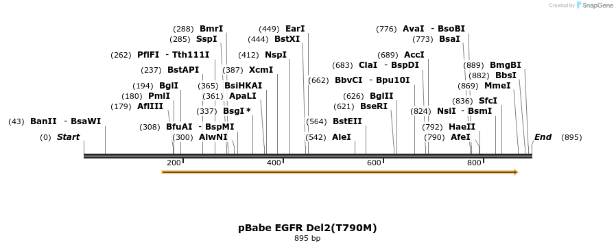 37742_map