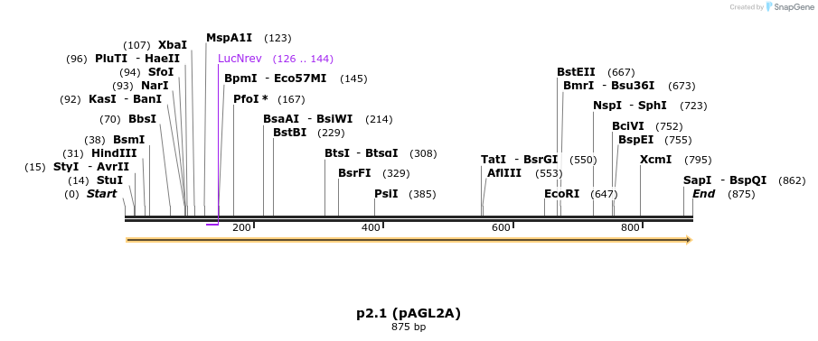 37747_map