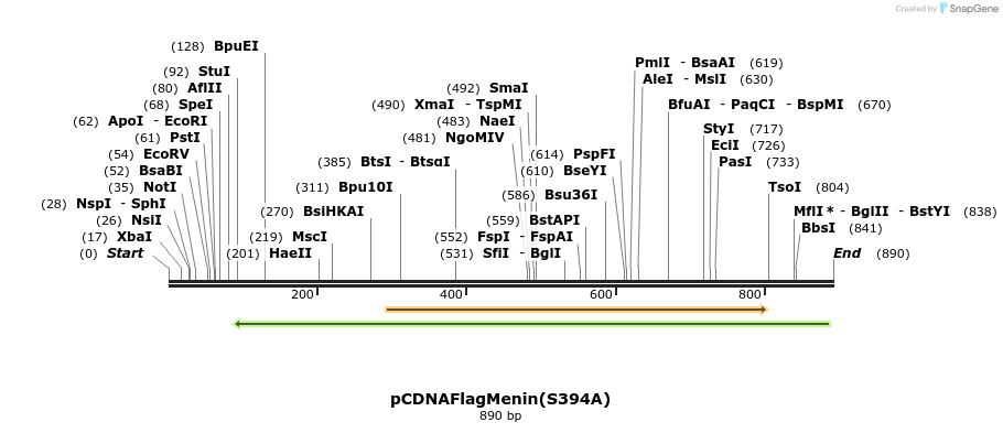 37749_map